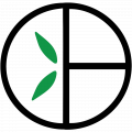 Bamboo basics logo