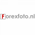 Forex foto logo